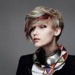 REINVENTED TRIBAL - GOLDWELL Color Zoom 2015 - Traditional Rebels