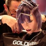 Show - Color Zoom’15,Traditional Rebels - Mario Krankl, Goldwell Creative Team - TOP HAIR International 2015
